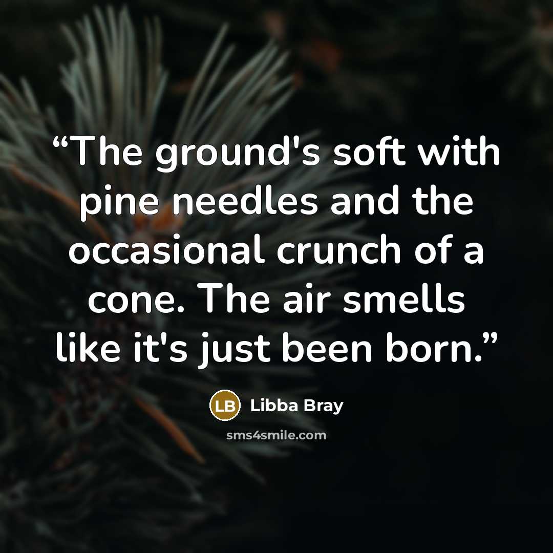 “The ground's soft with pine needles and the occasional crunch of a cone. The air smells like it's just been born.” quote by Libba Bray