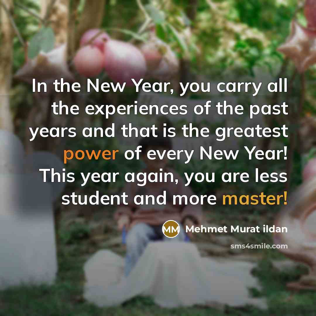 “In the New Year, you carry all the experiences of…” quote by Mehmet Murat Ildan