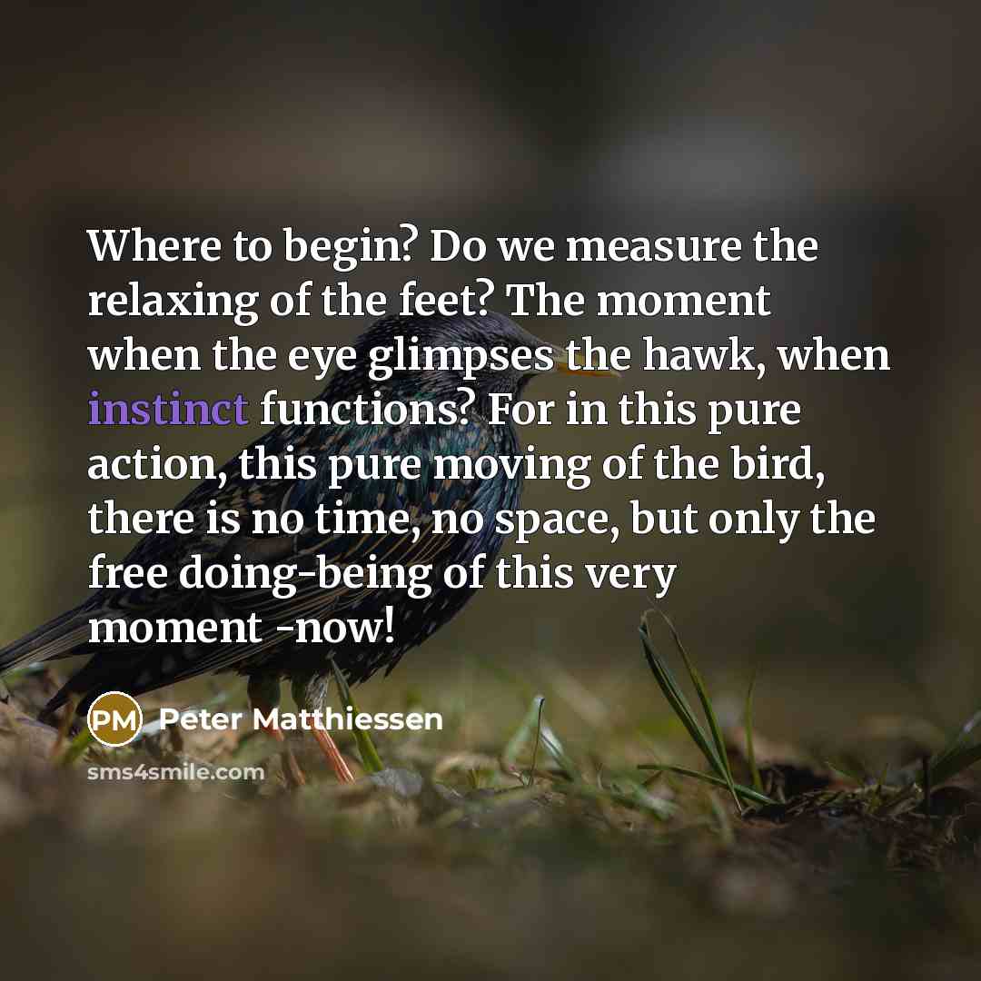 “Where to begin? Do we measure the relaxing of the…” quote by Peter Matthiessen