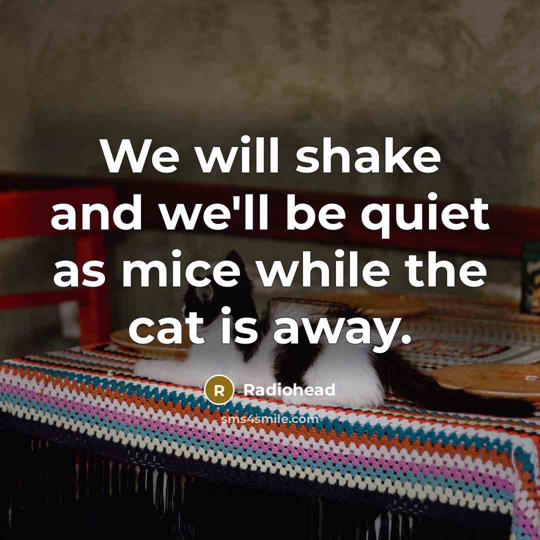 “We will shake and we'll be quiet as mice while the cat is away.” quote by Radiohead