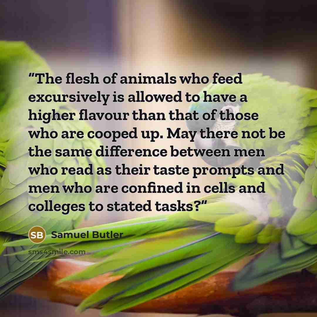 “The flesh of animals who feed excursively is allowed to have a higher flavour than that of those who are cooped up. May there not be the same difference between men who read as their taste prompts and men who are confined in cells and colleges to stated tasks?” quote by Samuel Butler