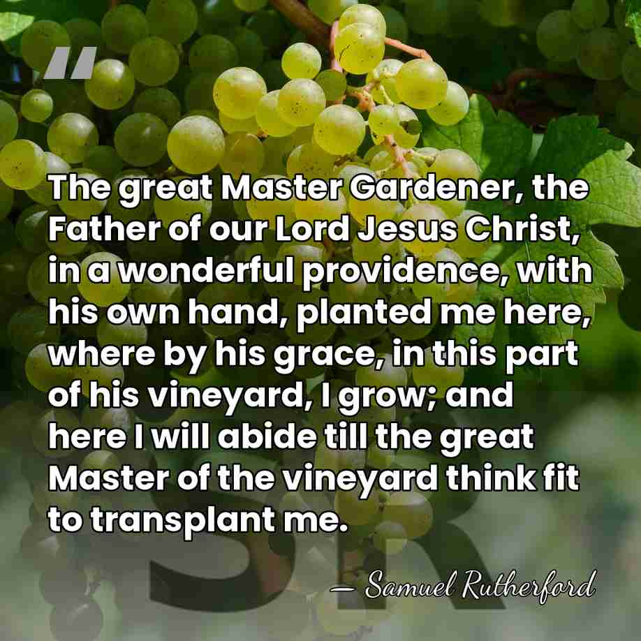 The great Master Gardener, the Father of our Lord Jesus Christ, in&hellip; - Samuel Rutherford
