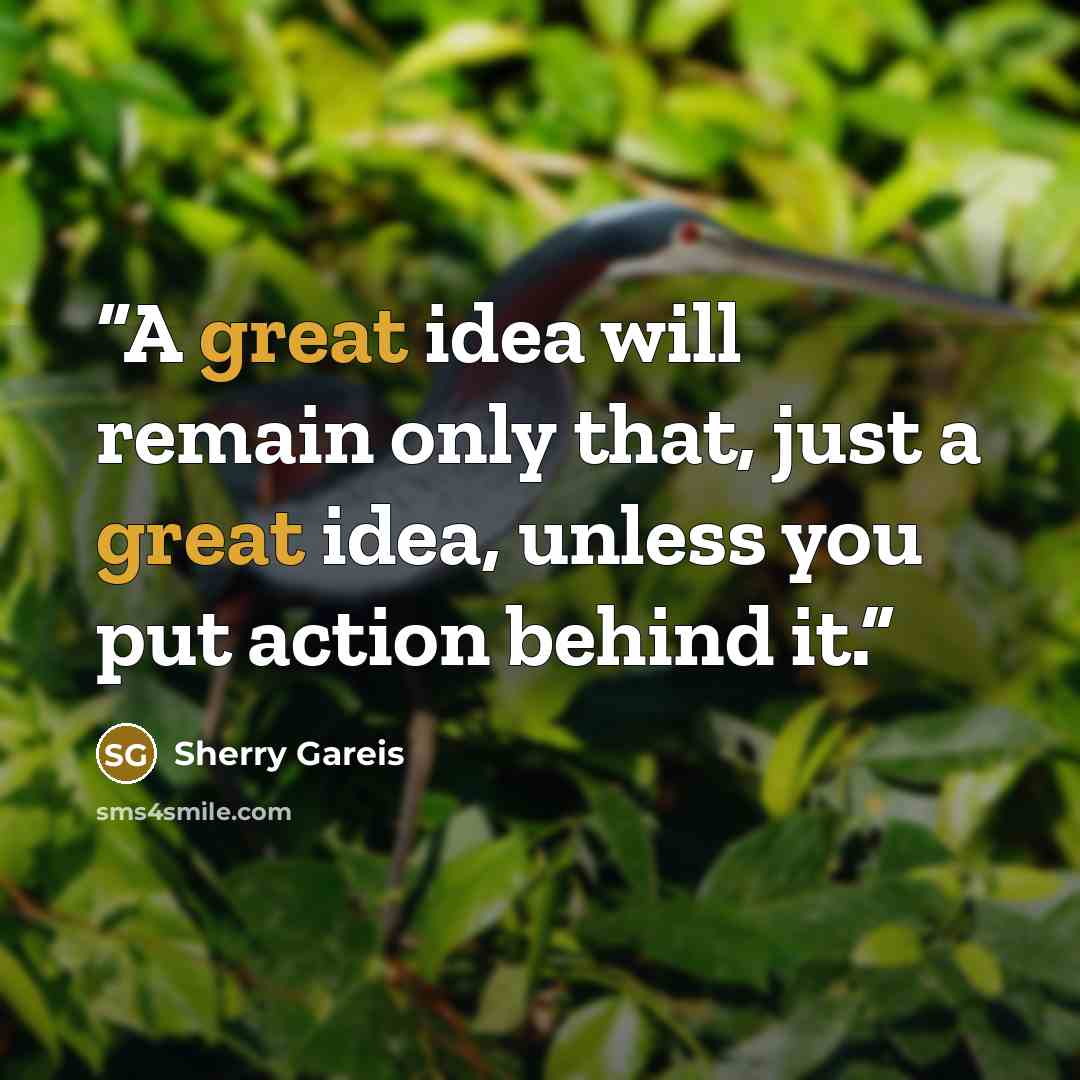 “A great idea will remain only that, just a great idea, unless you put action behind it.” quote by Sherry Gareis