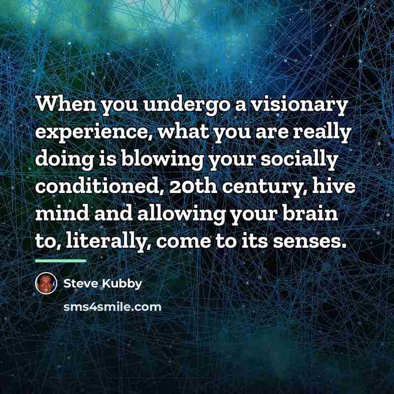 “When you undergo a visionary experience, what you are really…” quote by Steve Kubby