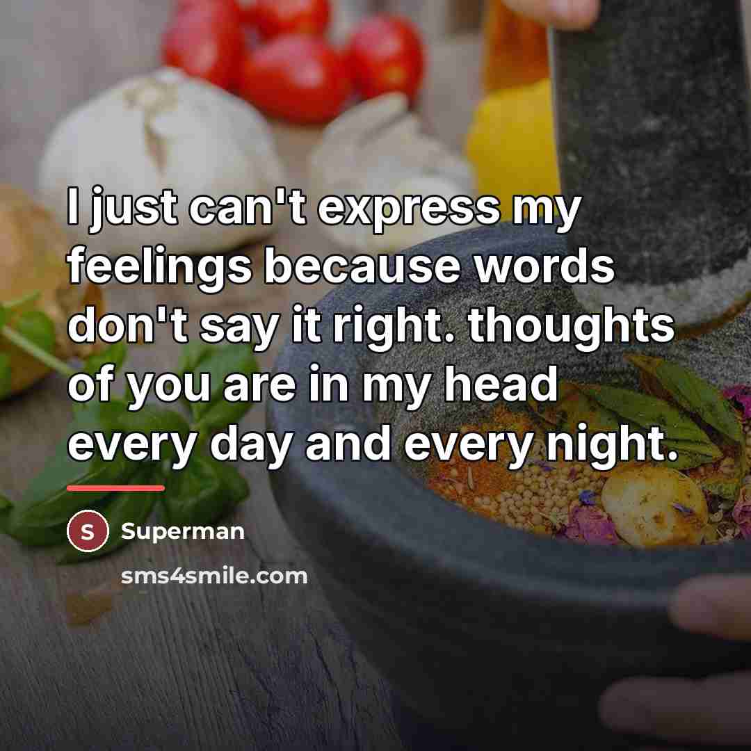 “I just can't express my feelings because words don't say…” quote by Superman