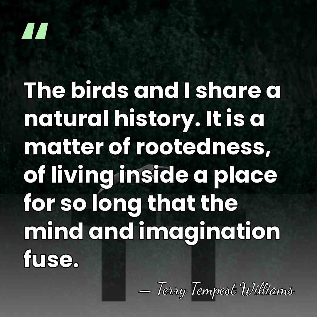 The birds and I share a natural history. It is a matter&hellip; - Terry Tempest Williams