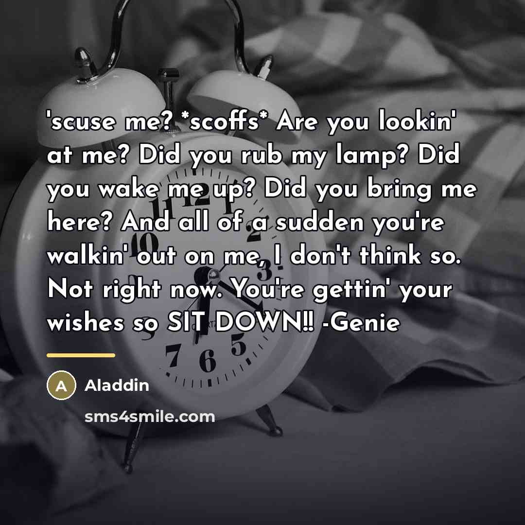 “'scuse me? *scoffs* Are you lookin' at me? Did you…” quote by Aladdin