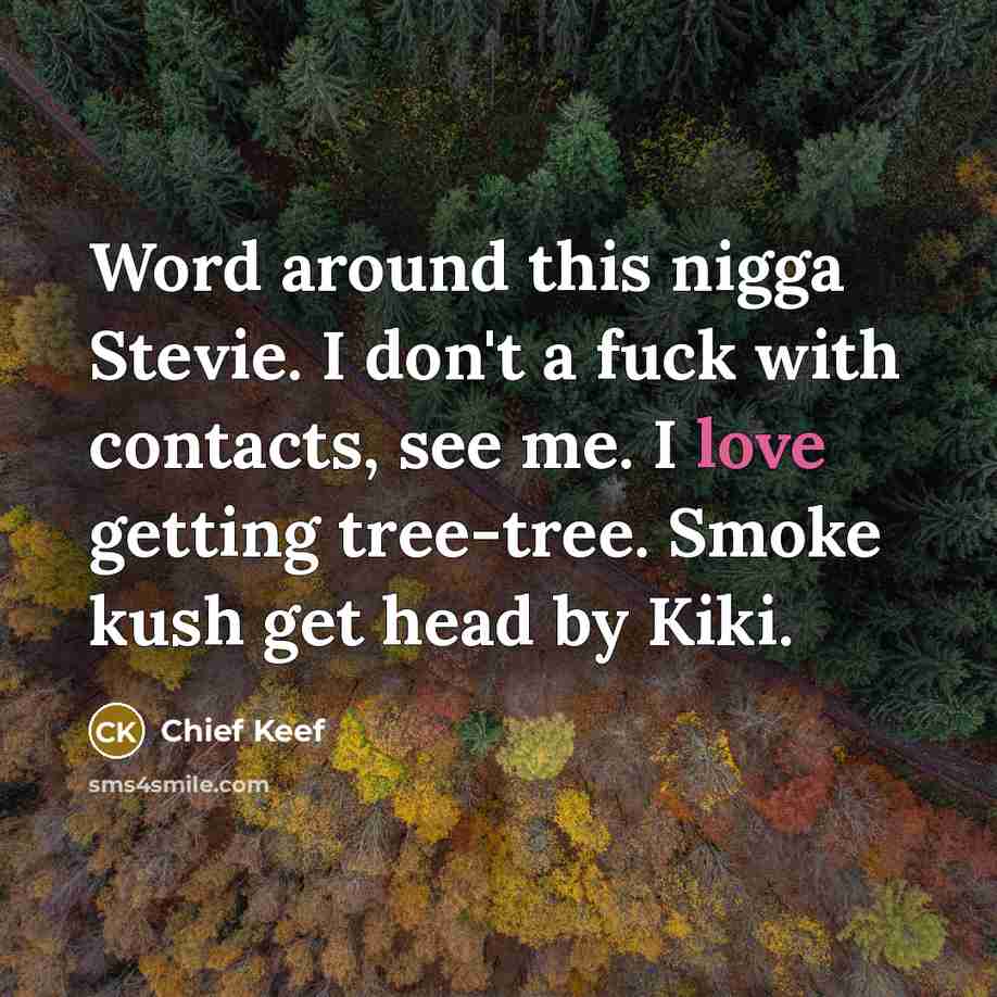 “Word around this nigga Stevie. I don't a fuck with…” quote by Chief Keef