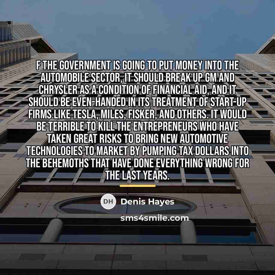 “f the government is going to put money into the…” quote by Denis Hayes