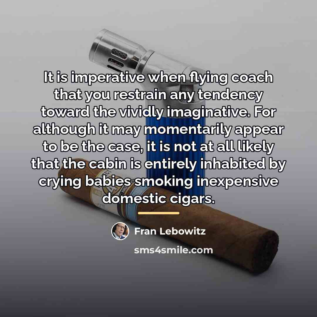 “It is imperative when flying coach that you restrain any…” quote by Fran Lebowitz