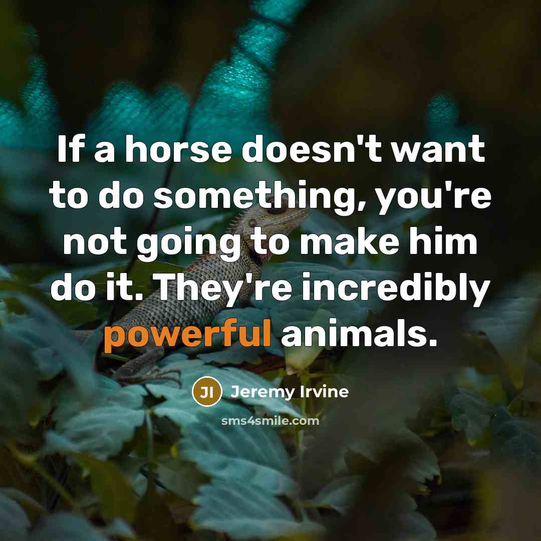 “If a horse doesn't want to do something, you're not…” quote by Jeremy Irvine