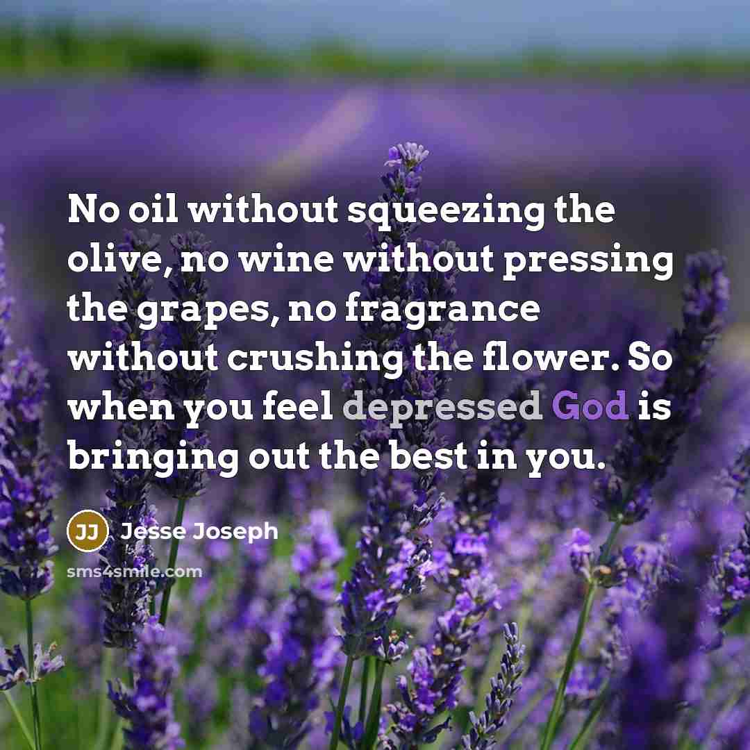 “No oil without squeezing the olive, no wine without pressing the grapes, no fragrance without crushing the flower. So when you feel depressed God is bringing out the best in you.” quote by Jesse Joseph