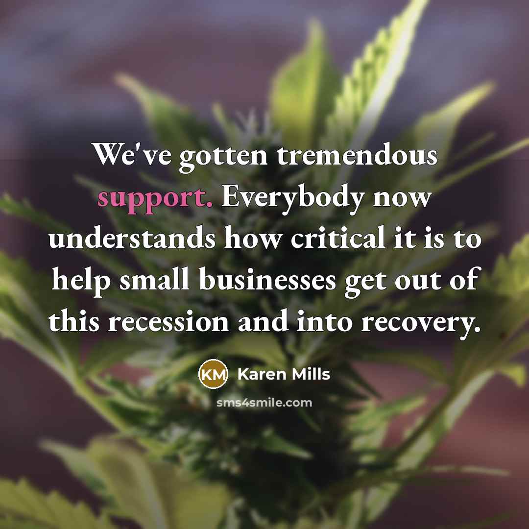 “We've gotten tremendous support. Everybody now understands how critical it…” quote by Karen Mills