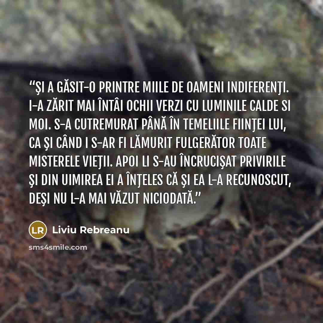 “Şi a găsit-o printre miile de oameni indiferenţi. I-a zărit mai întâi ochii verzi cu luminile calde si moi. S-a cutremurat până în temeliile fiinţei lui, ca şi când i s-ar fi lămurit fulgerător toate misterele vieţii. Apoi li s-au încrucişat privirile şi din uimirea ei a înţeles că şi ea l-a…” quote by Liviu Rebreanu