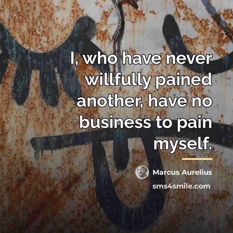 “I, who have never willfully pained another, have no business…” quote by Marcus Aurelius