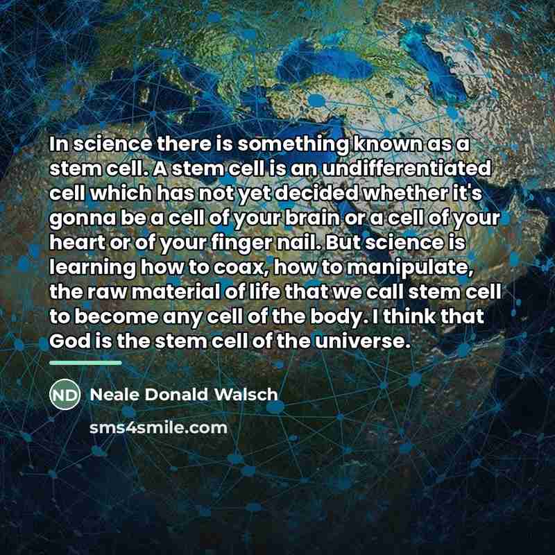 “In science there is something known as a stem cell.…” quote by Neale Donald Walsch