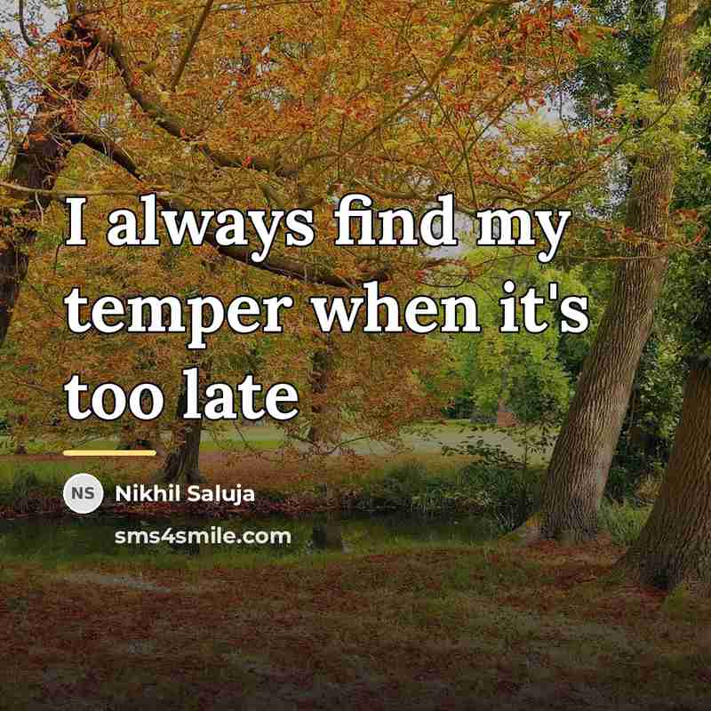 “I always find my temper when it's too late…” quote by Nikhil Saluja