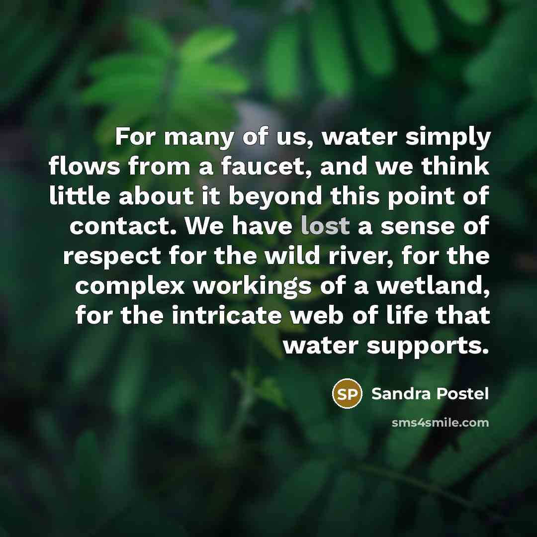 “For many of us, water simply flows from a faucet,…” quote by Sandra Postel