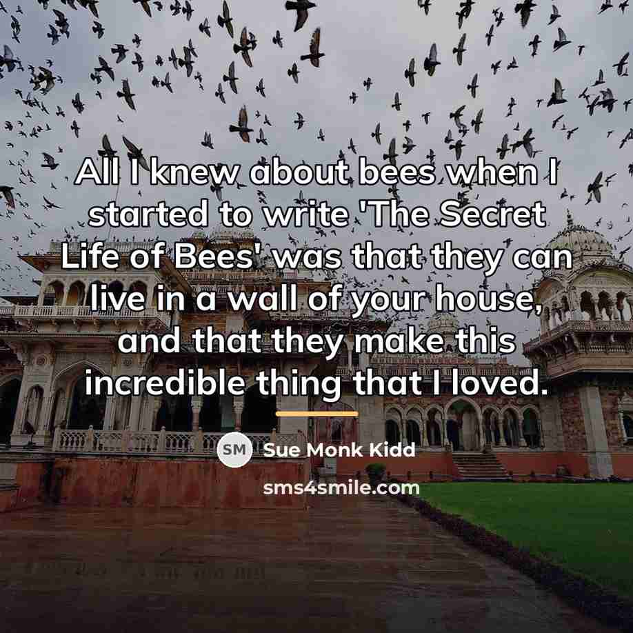 “All I knew about bees when I started to write…” quote by Sue Monk Kidd