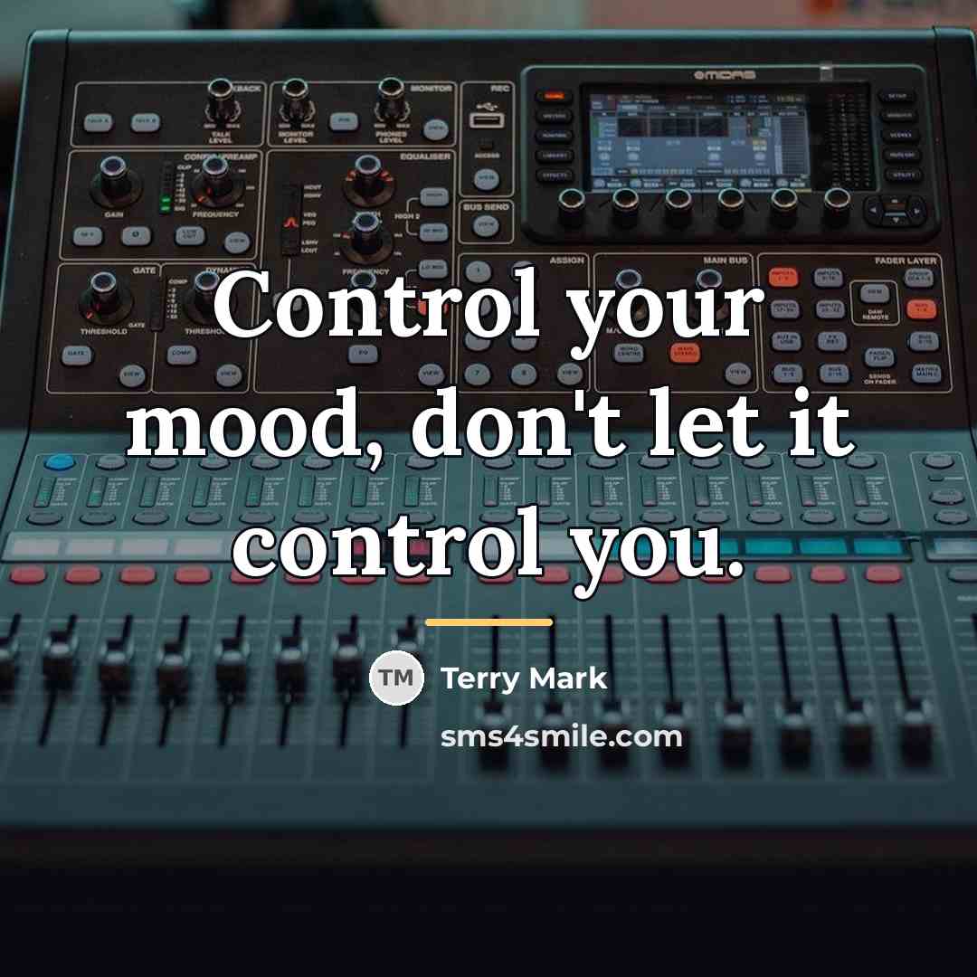 “Control your mood, don't let it control you.…” quote by Terry Mark