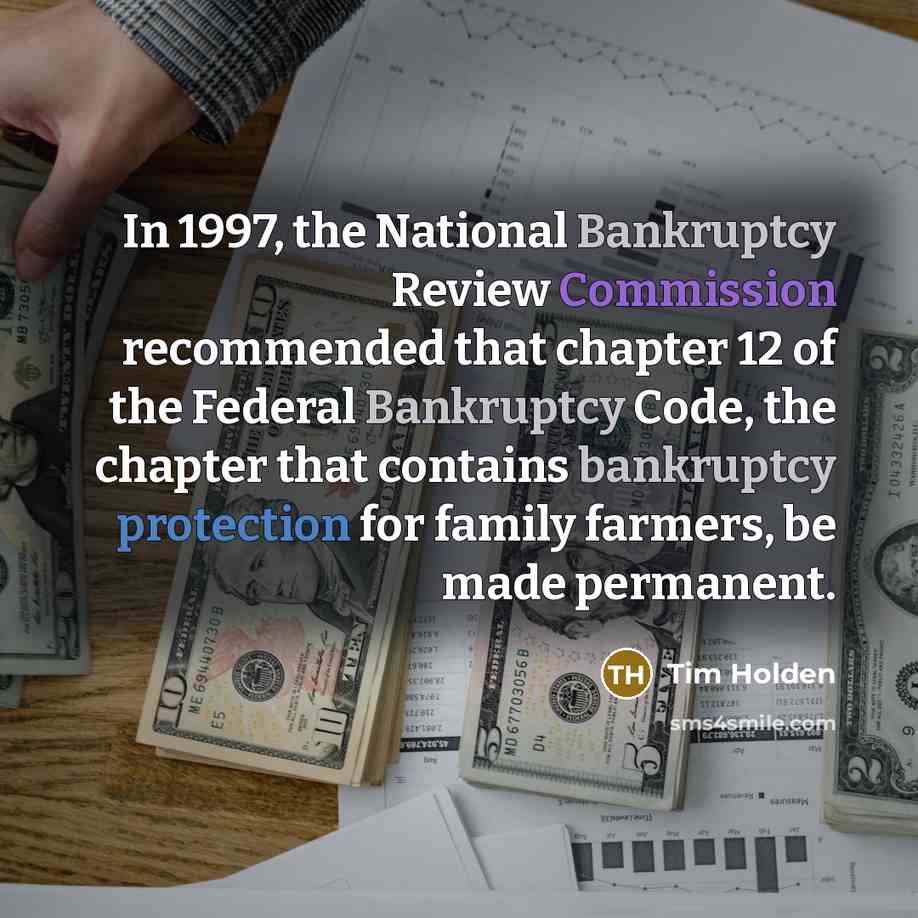 “In 1997, the National Bankruptcy Review Commission recommended that chapter…” quote by Tim Holden
