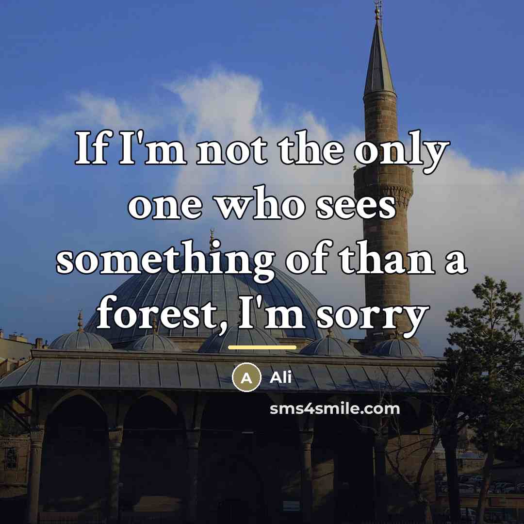 “If I'm not the only one who sees something of…” quote by Ali
