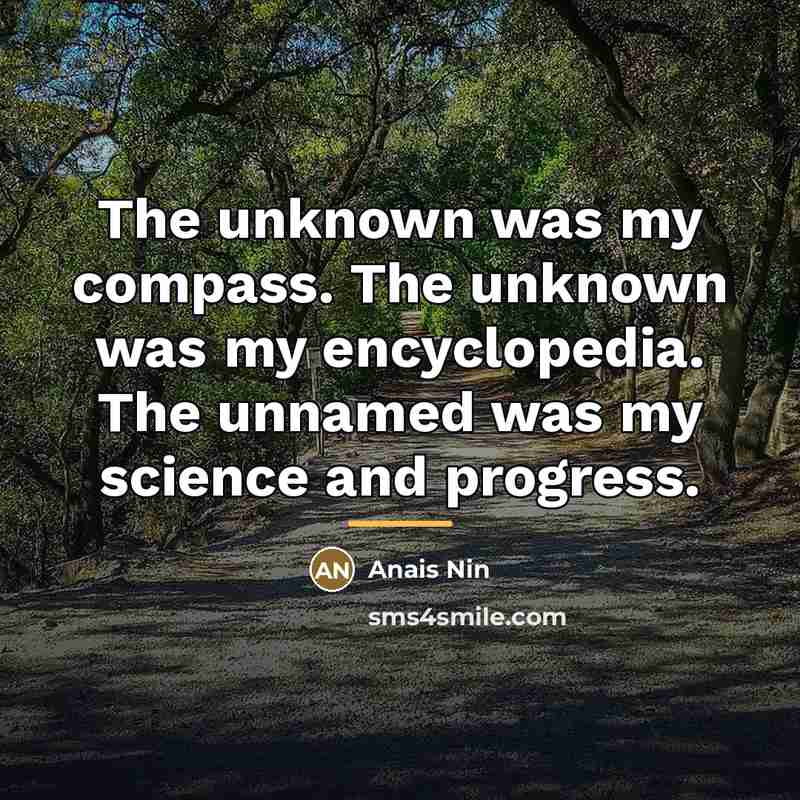 “The unknown was my compass. The unknown was my encyclopedia.…” quote by Anais Nin