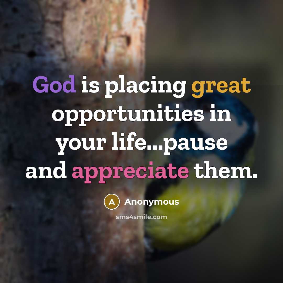 “God is placing great opportunities in your life...pause and appreciate them.” quote by Anonymous