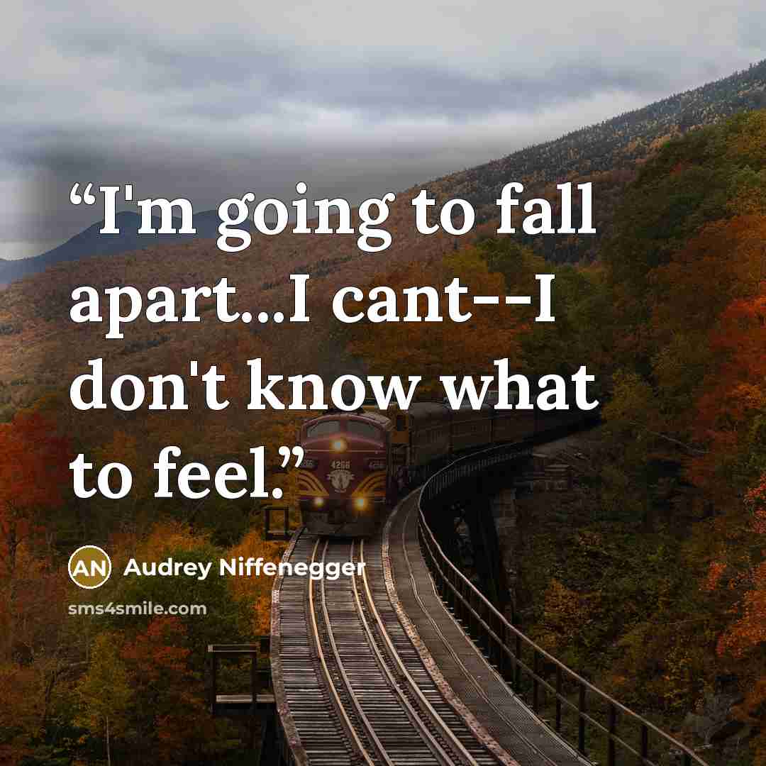 “I'm going to fall apart...I cant--I don't know what to feel.” quote by Audrey Niffenegger