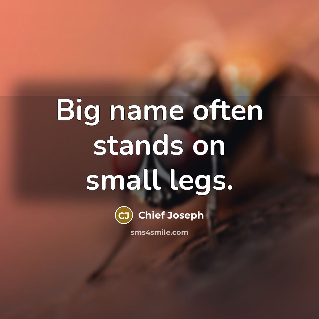 “Big name often stands on small legs.…” quote by Chief Joseph