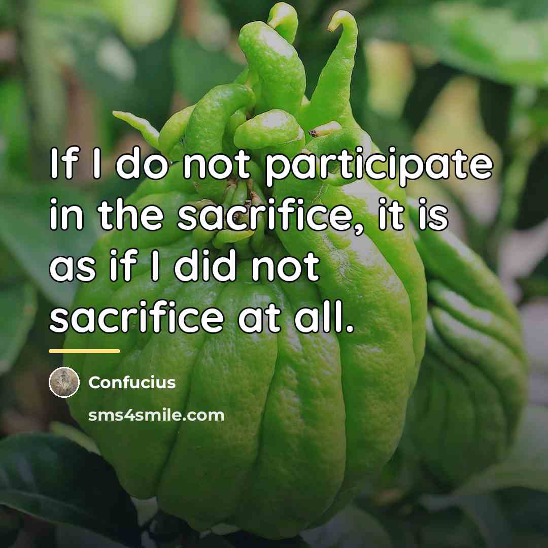 “If I do not participate in the sacrifice, it is…” quote by Confucius