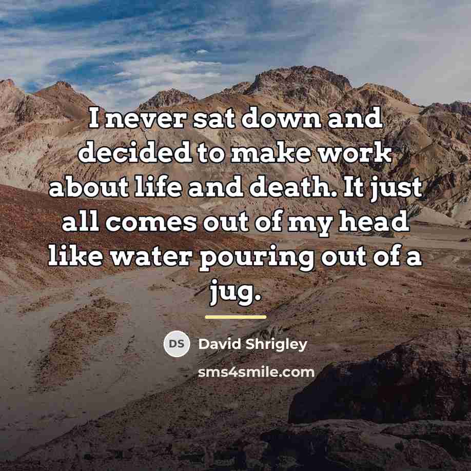 “I never sat down and decided to make work about…” quote by David Shrigley