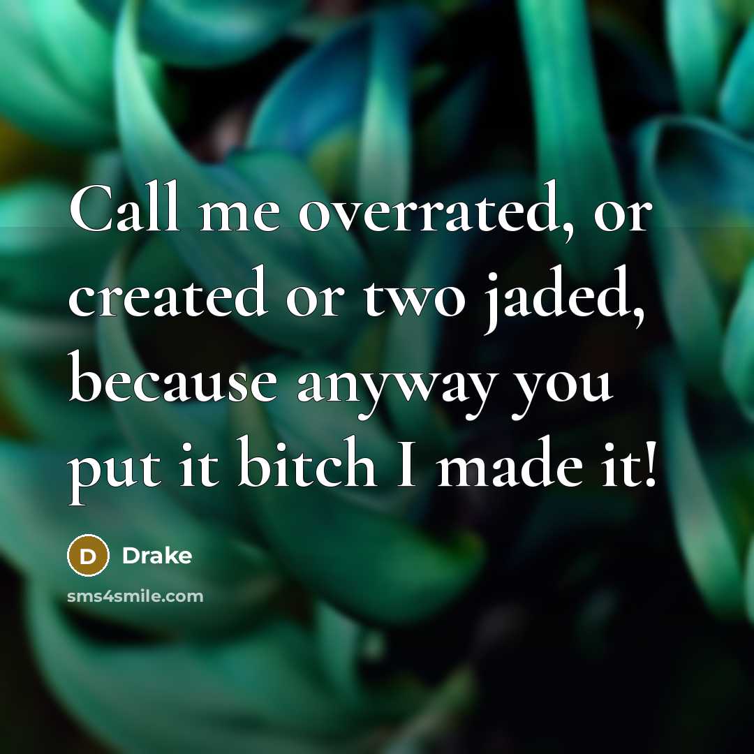 “Call me overrated, or created or two jaded, because anyway you put it bitch I made it!” quote by Drake