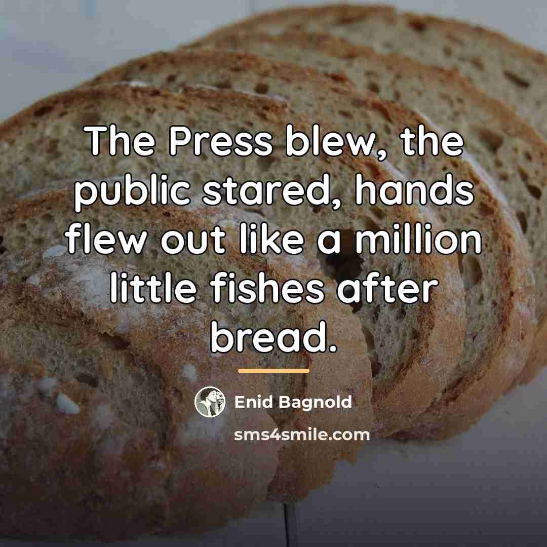 “The Press blew, the public stared, hands flew out like…” quote by Enid Bagnold