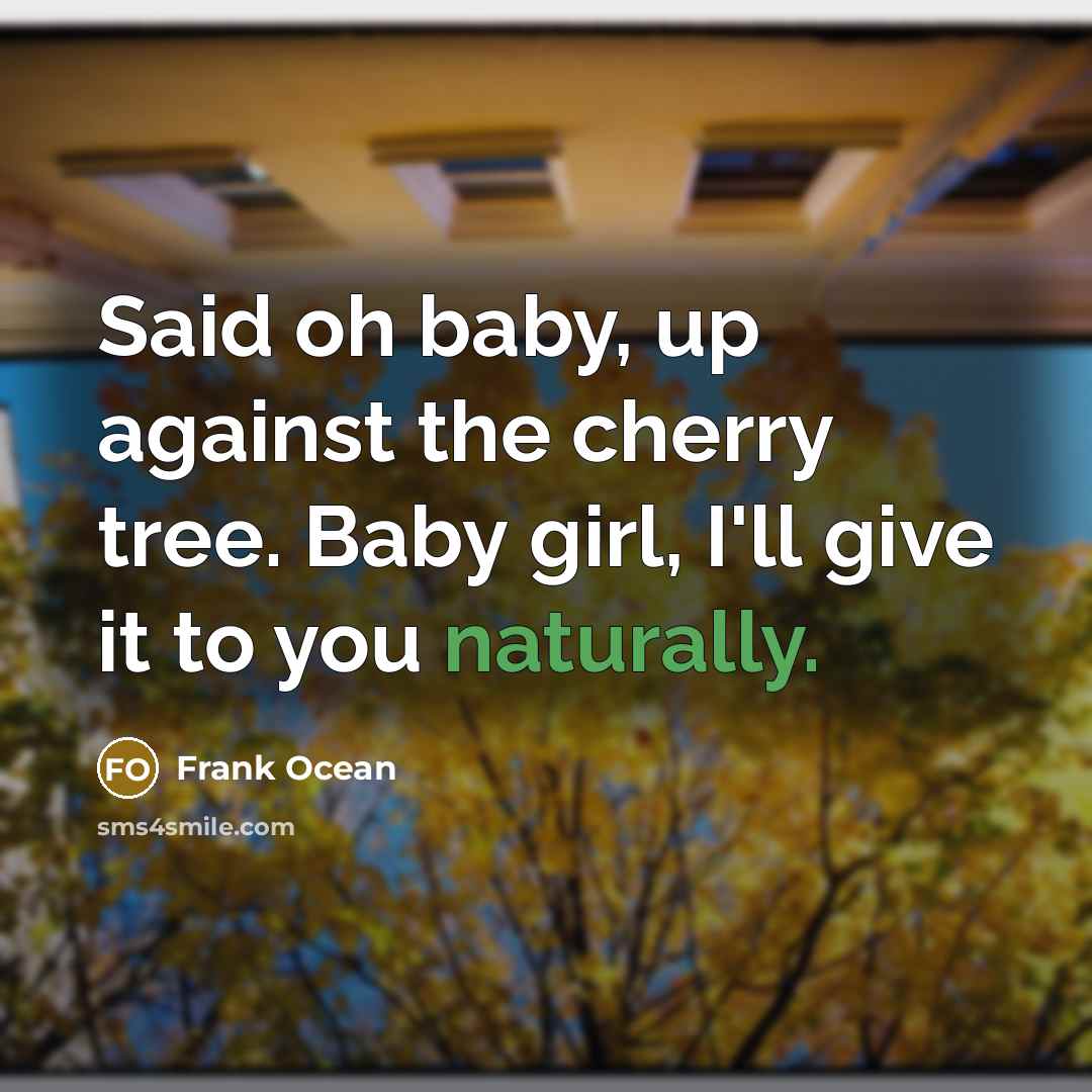 “Said oh baby, up against the cherry tree. Baby girl, I'll give it to you naturally.” quote by Frank Ocean
