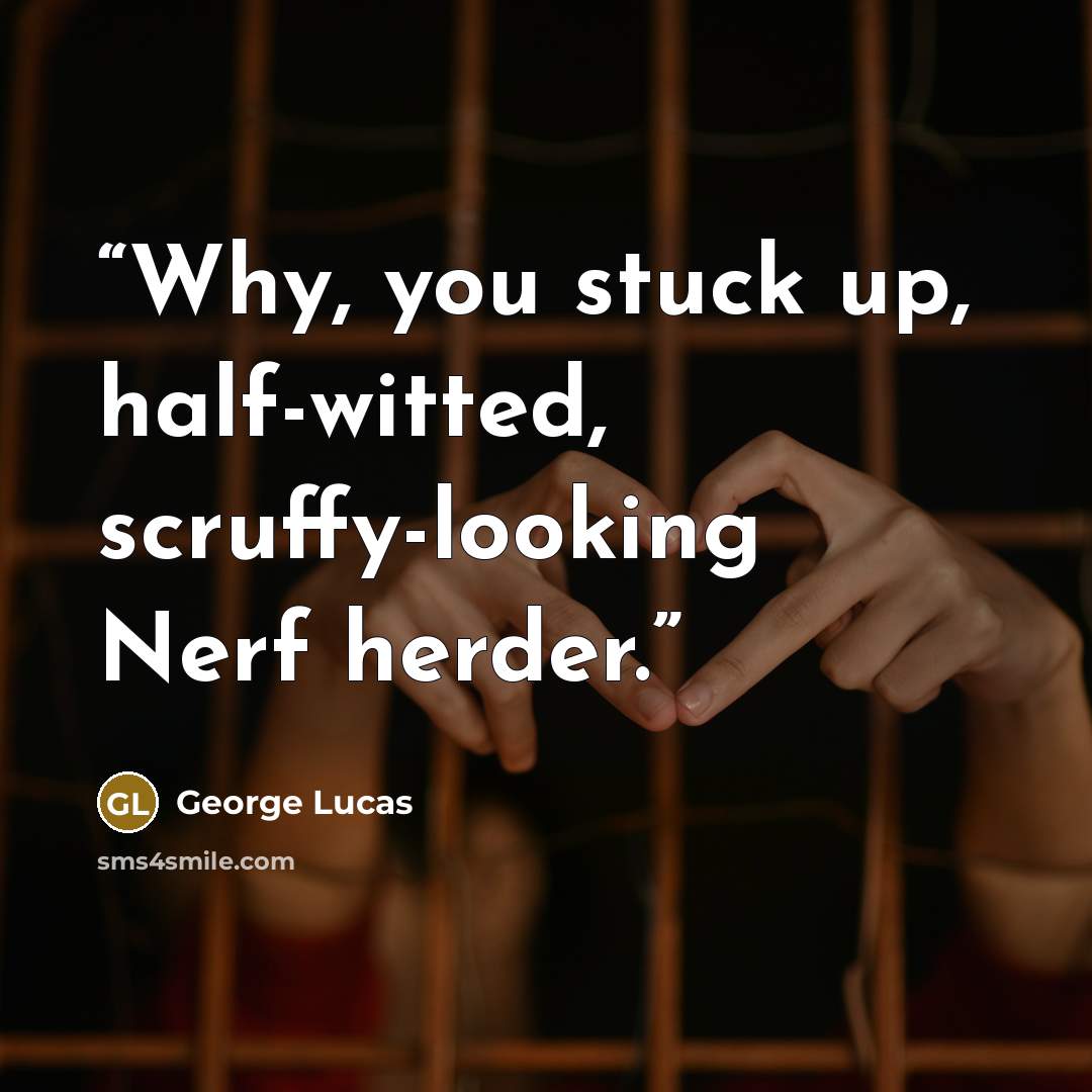 “Why, you stuck up, half-witted, scruffy-looking Nerf herder.” quote by George Lucas