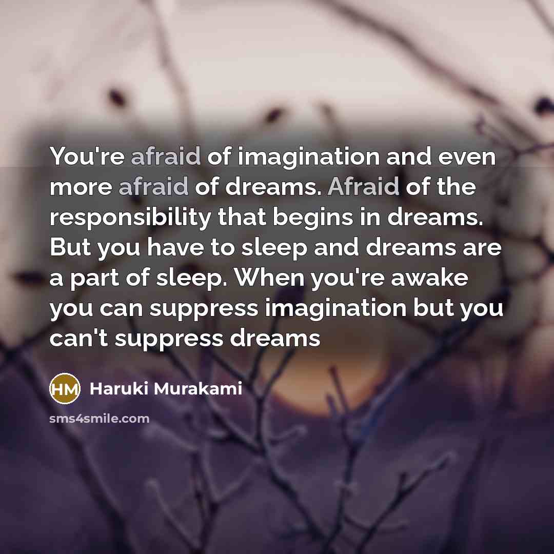 “You're afraid of imagination and even more afraid of dreams.…” quote by Haruki Murakami