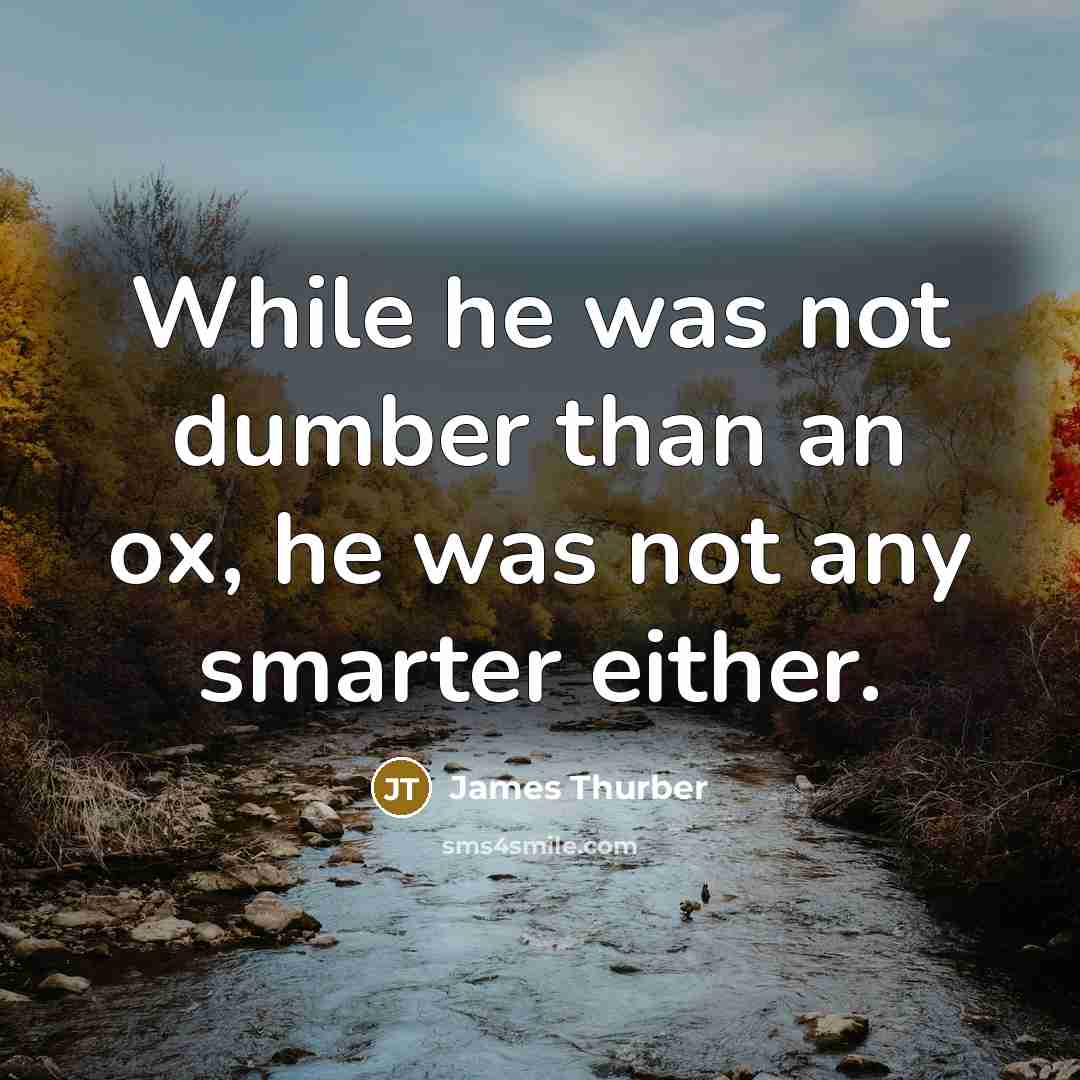 “While he was not dumber than an ox, he was not any smarter either.” quote by James Thurber
