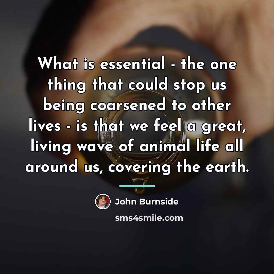“What is essential - the one thing that could stop…” quote by John Burnside