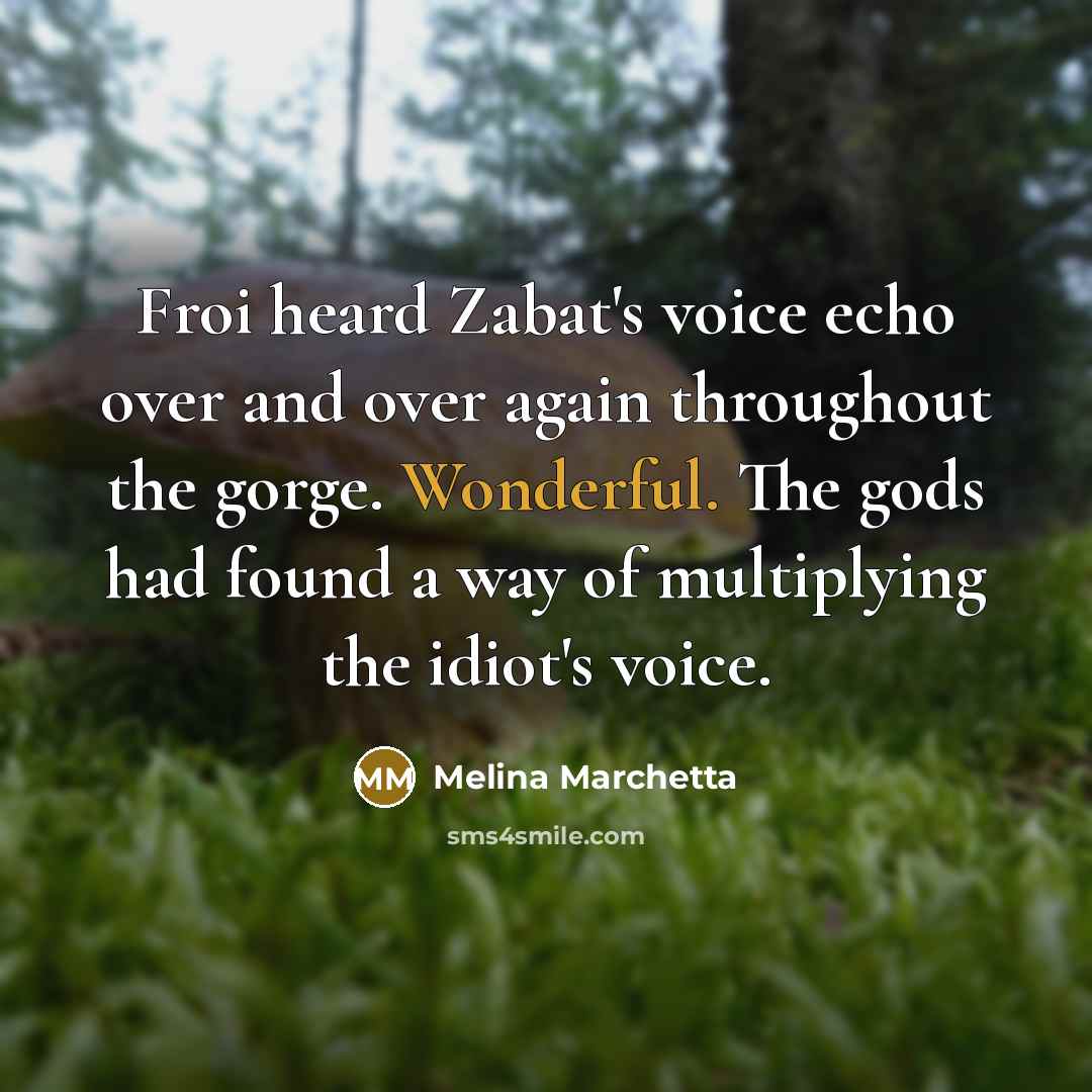 “Froi heard Zabat's voice echo over and over again throughout…” quote by Melina Marchetta