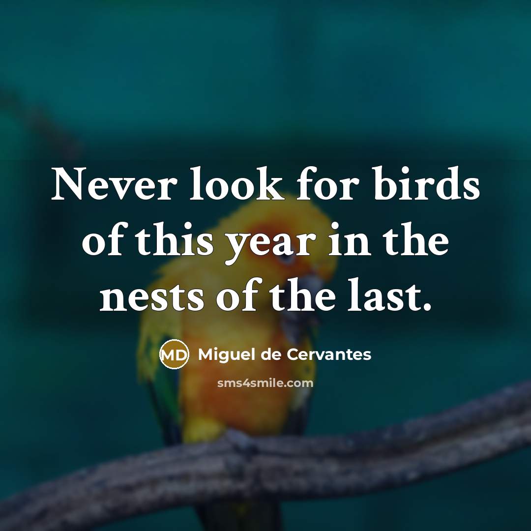 “Never look for birds of this year in the nests…” quote by Miguel de Cervantes