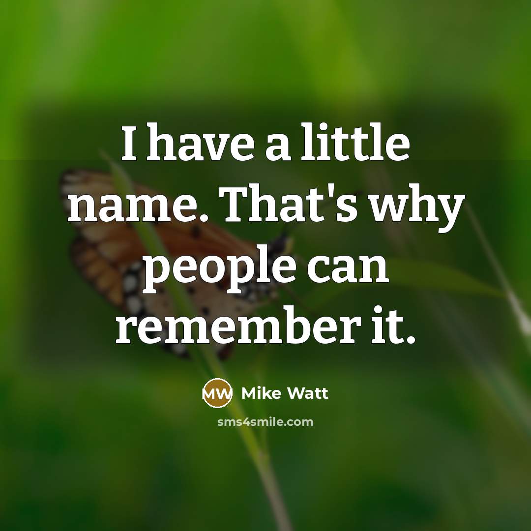 “I have a little name. That's why people can remember it.” quote by Mike Watt