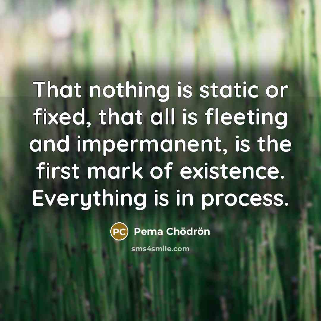 “That nothing is static or fixed, that all is fleeting…” quote by Pema Chodron