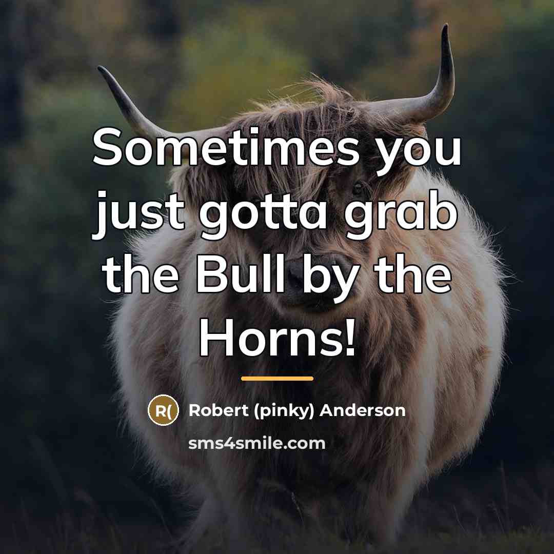 “Sometimes you just gotta grab the Bull by the Horns!…” quote by Anonymous