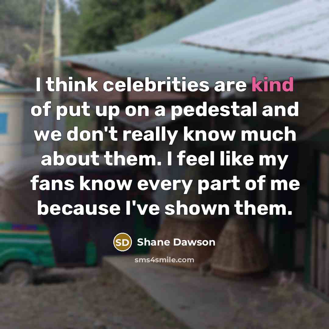 “I think celebrities are kind of put up on a…” quote by Shane Dawson