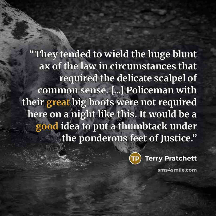 “They tended to wield the huge blunt ax of the law in circumstances that required the delicate scalpel of common sense. [...] Policeman with their great big boots were not required here on a night like this. It would be a good idea to put a thumbtack under the ponderous feet of Justice.” quote by Terry Pratchett
