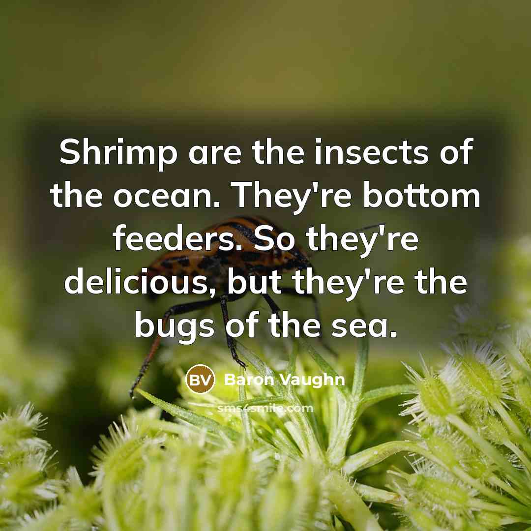 “Shrimp are the insects of the ocean. They're bottom feeders.…” quote by Baron Vaughn