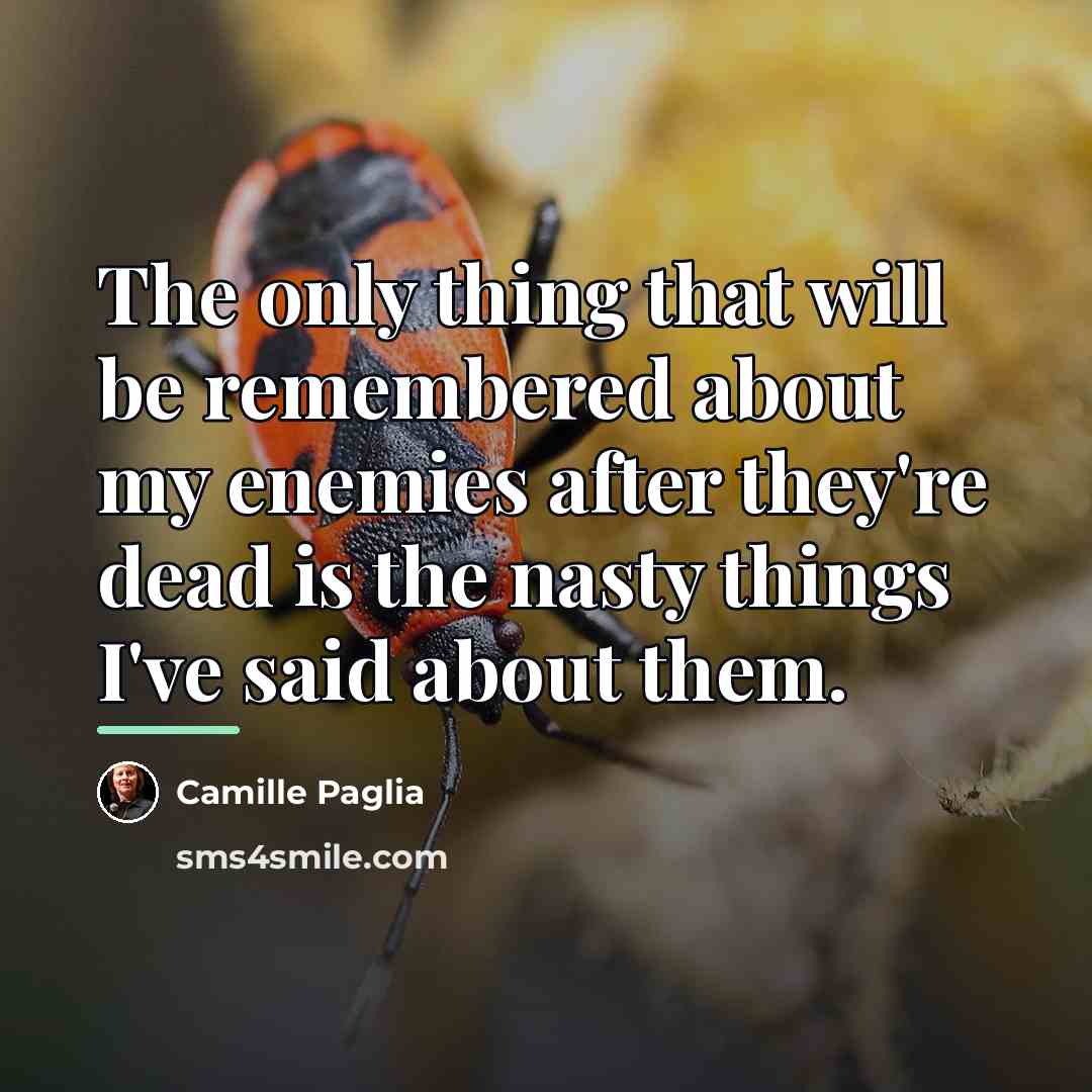“The only thing that will be remembered about my enemies…” quote by Camille Paglia