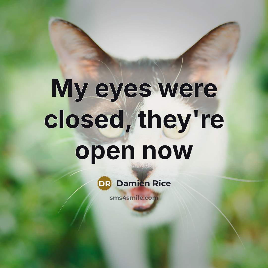 “My eyes were closed, they're open now…” quote by Damien Rice