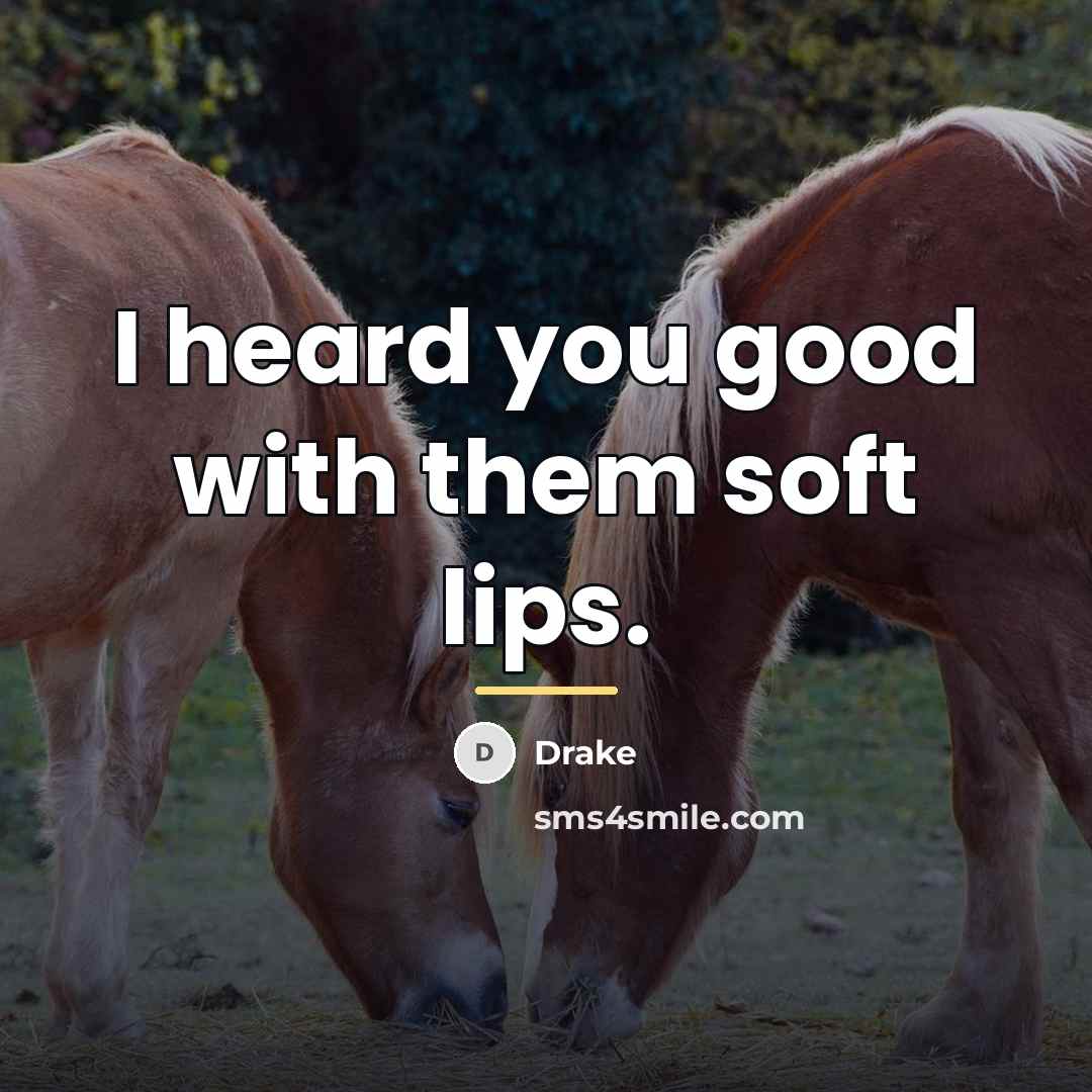 “I heard you good with them soft lips.…” quote by Drake